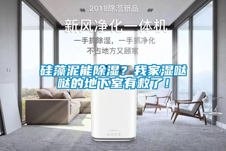 硅藻泥能除濕？我家濕噠噠的地下室有救了！