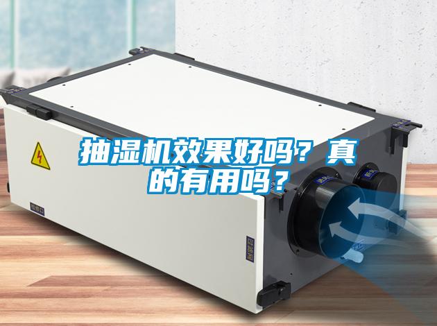 抽濕機效果好嗎？真的有用嗎？
