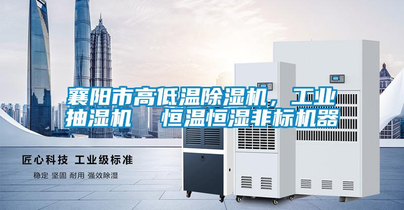 襄陽市高低溫除濕機，工業(yè)抽濕機  恒溫恒濕非標機器