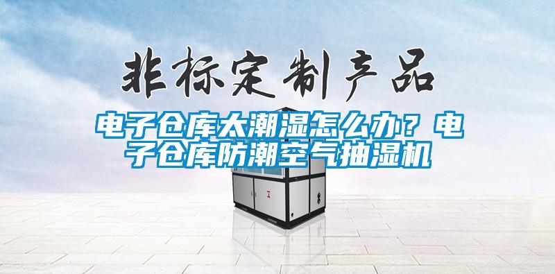電子倉(cāng)庫(kù)太潮濕怎么辦？電子倉(cāng)庫(kù)防潮空氣抽濕機(jī)