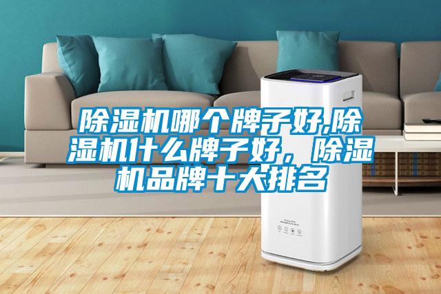 除濕機哪個牌子好,除濕機什么牌子好，除濕機品牌十大排名