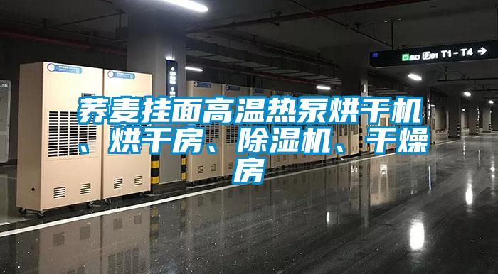 蕎麥掛面高溫?zé)岜煤娓蓹C(jī)、烘干房、除濕機(jī)、干燥房