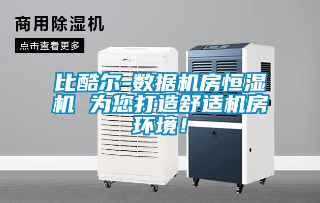 比酷爾-數(shù)據(jù)機房恒濕機 為您打造舒適機房環(huán)境！