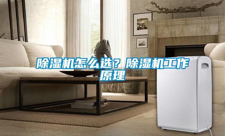 除濕機怎么選？除濕機工作原理