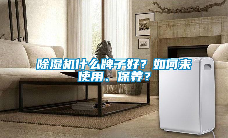 除濕機什么牌子好？如何來使用、保養(yǎng)？