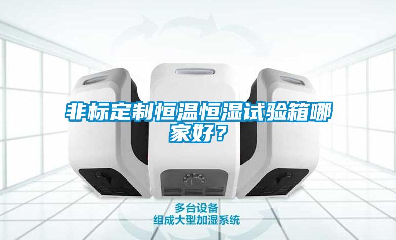 非標(biāo)定制恒溫恒濕試驗(yàn)箱哪家好？
