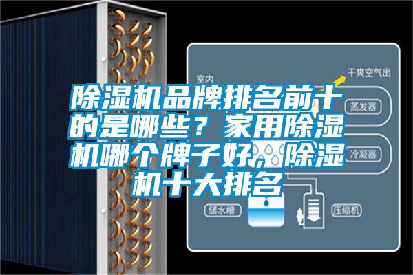 除濕機(jī)品牌排名前十的是哪些？家用除濕機(jī)哪個(gè)牌子好，除濕機(jī)十大排名