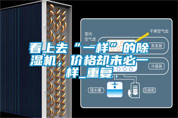 看上去“一樣”的除濕機(jī)，價(jià)格卻未必一樣_重復(fù)