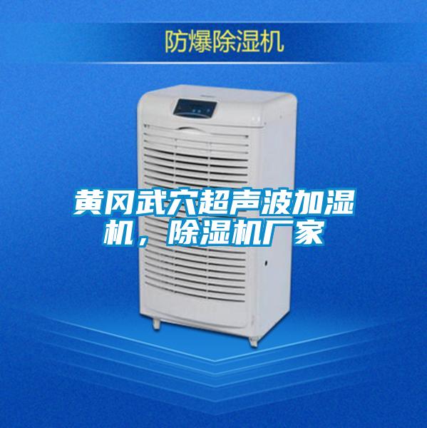 黃岡武穴超聲波加濕機(jī)，除濕機(jī)廠家