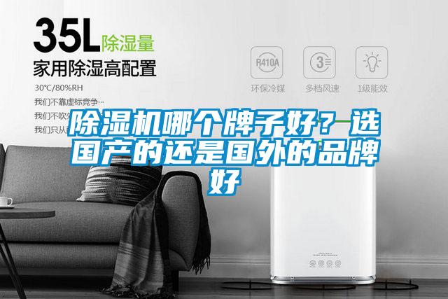 除濕機(jī)哪個(gè)牌子好？選國(guó)產(chǎn)的還是國(guó)外的品牌好