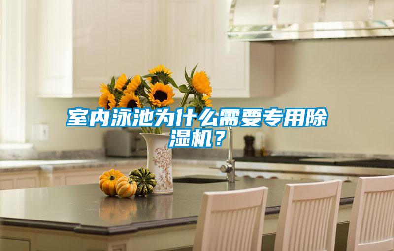 室內(nèi)泳池為什么需要專用除濕機？