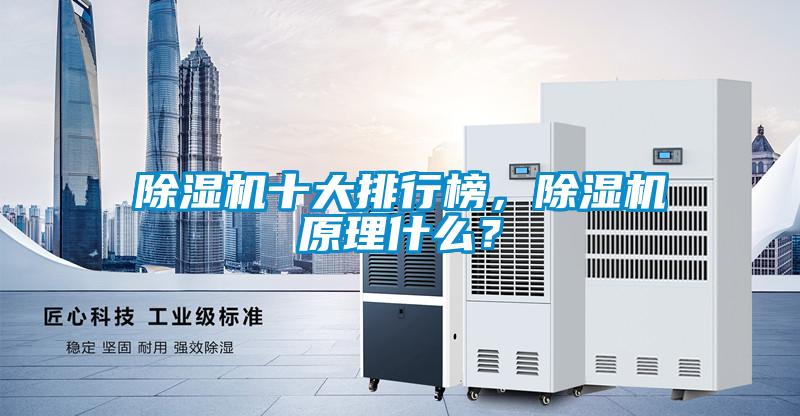 除濕機(jī)十大排行榜，除濕機(jī)原理什么？