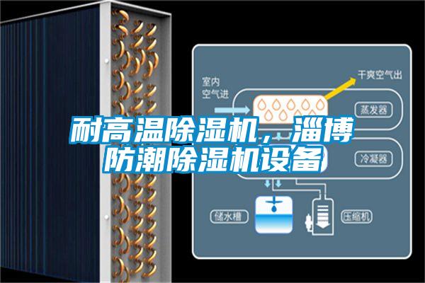 耐高溫除濕機(jī)，淄博防潮除濕機(jī)設(shè)備