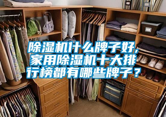 除濕機什么牌子好,家用除濕機十大排行榜都有哪些牌子？