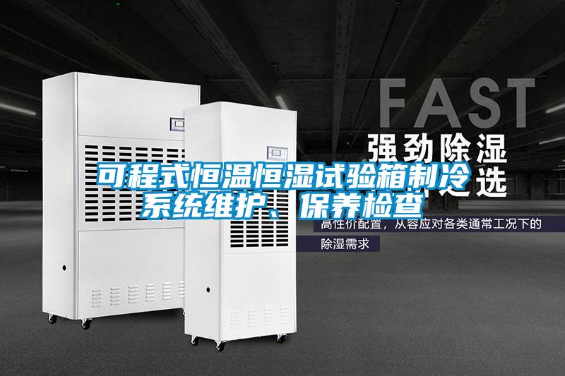 可程式恒溫恒濕試驗(yàn)箱制冷系統(tǒng)維護(hù)、保養(yǎng)檢查