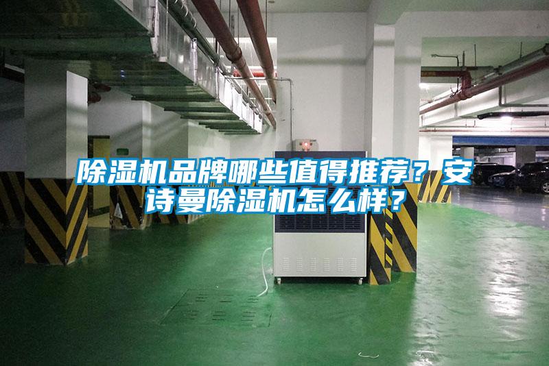 除濕機(jī)品牌哪些值得推薦？安詩(shī)曼除濕機(jī)怎么樣？