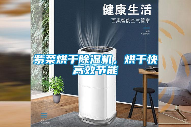 紫菜烘干除濕機，烘干快高效節(jié)能