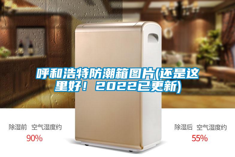 呼和浩特防潮箱圖片(還是這里好！2022已更新)
