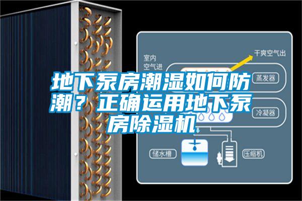 地下泵房潮濕如何防潮？正確運(yùn)用地下泵房除濕機(jī)