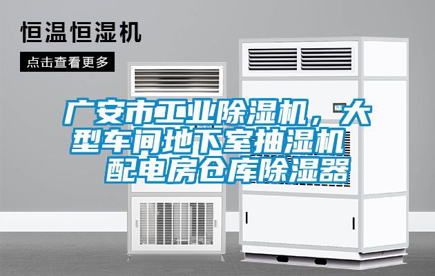 廣安市工業(yè)除濕機(jī)，大型車間地下室抽濕機(jī)  配電房倉庫除濕器