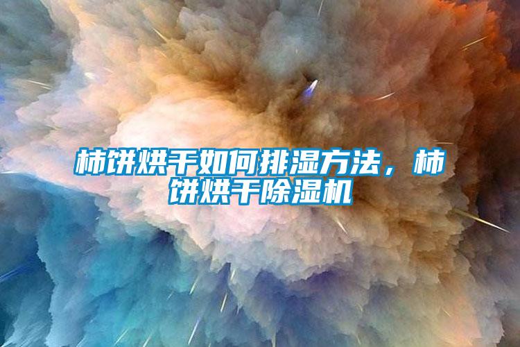 柿餅烘干如何排濕方法，柿餅烘干除濕機