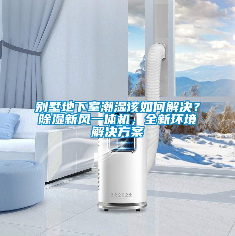 別墅地下室潮濕該如何解決？除濕新風(fēng)一體機(jī)，全新環(huán)境解決方案