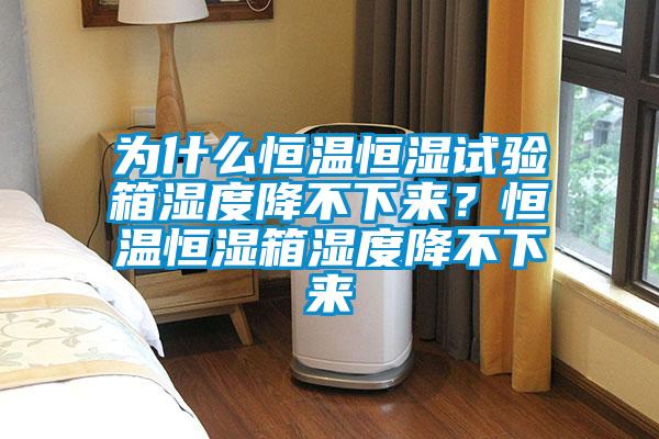為什么恒溫恒濕試驗箱濕度降不下來？恒溫恒濕箱濕度降不下來