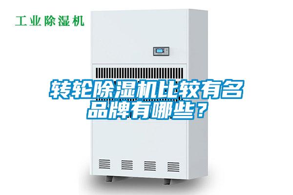轉(zhuǎn)輪除濕機(jī)比較有名品牌有哪些？