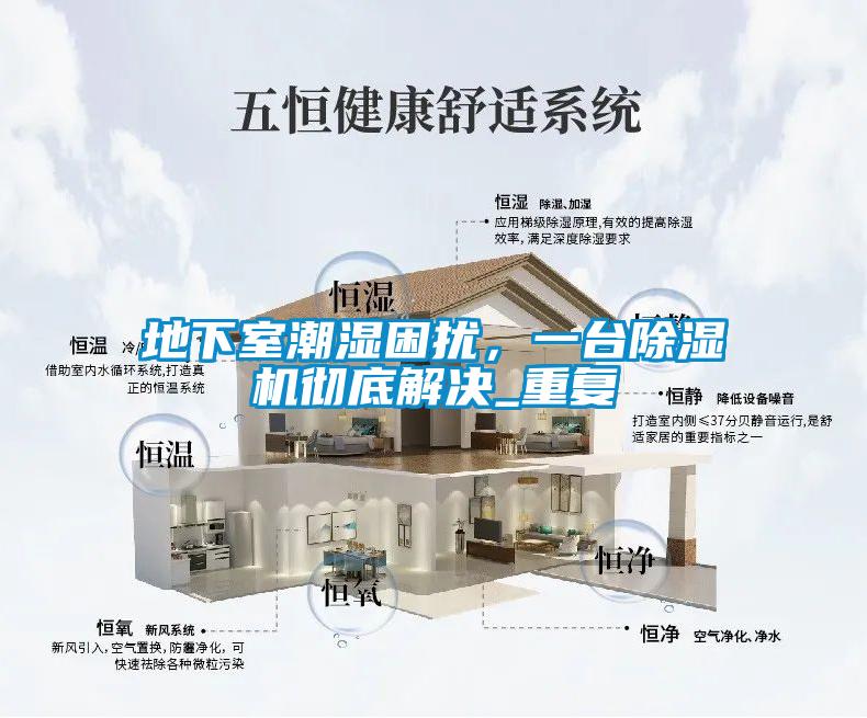地下室潮濕困擾，一臺除濕機徹底解決_重復