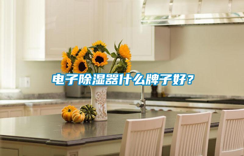 電子除濕器什么牌子好？