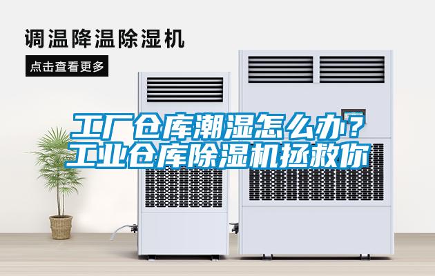工廠倉庫潮濕怎么辦？工業(yè)倉庫除濕機拯救你