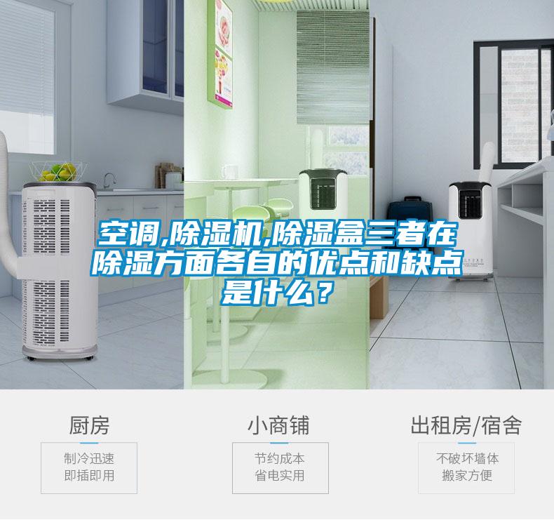 空調(diào),除濕機(jī),除濕盒三者在除濕方面各自的優(yōu)點(diǎn)和缺點(diǎn)是什么？