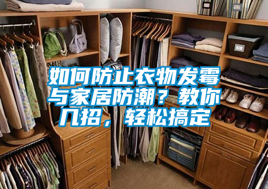 如何防止衣物發(fā)霉與家居防潮？教你幾招，輕松搞定