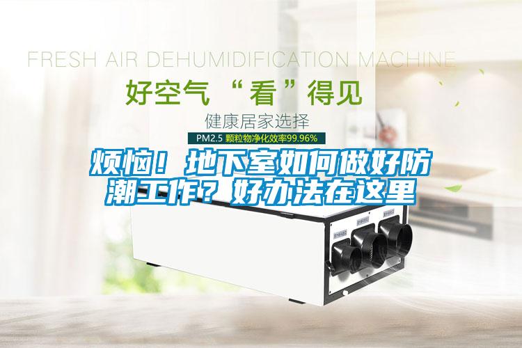 煩惱！地下室如何做好防潮工作？好辦法在這里