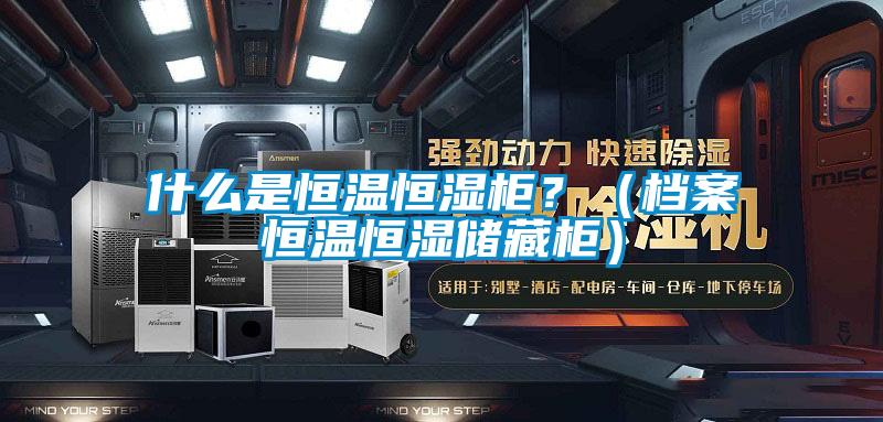 什么是恒溫恒濕柜？（檔案恒溫恒濕儲藏柜）