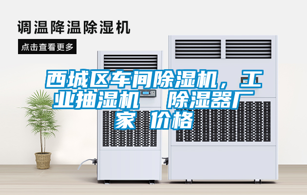 西城區(qū)車間除濕機，工業(yè)抽濕機  除濕器廠家 價格