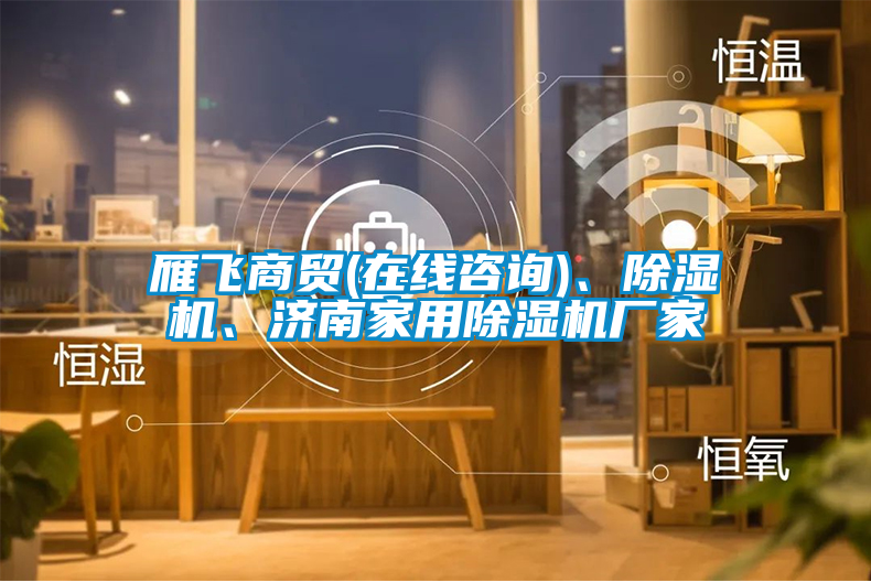 雁飛商貿(mào)(在線咨詢)、除濕機(jī)、濟(jì)南家用除濕機(jī)廠家