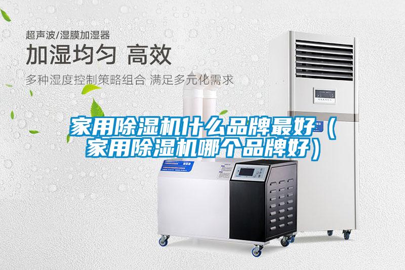 家用除濕機(jī)什么品牌最好（家用除濕機(jī)哪個品牌好）