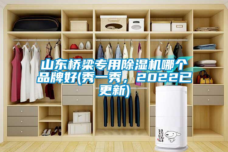 山東橋梁專用除濕機(jī)哪個品牌好(秀一秀，2022已更新)