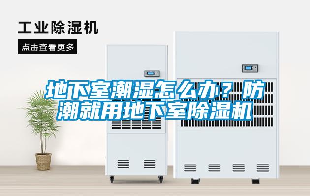 地下室潮濕怎么辦？防潮就用地下室除濕機(jī)