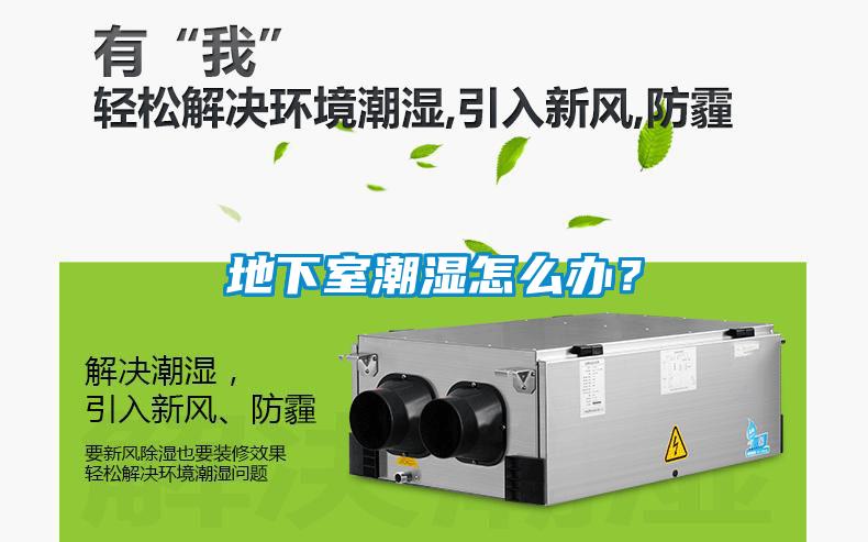 地下室潮濕怎么辦？