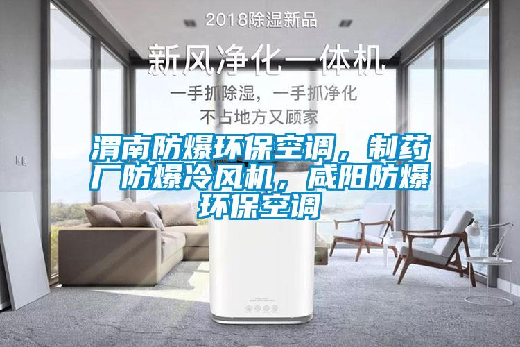 渭南防爆環(huán)?？照{(diào)，制藥廠防爆冷風(fēng)機(jī)，咸陽防爆環(huán)?？照{(diào)