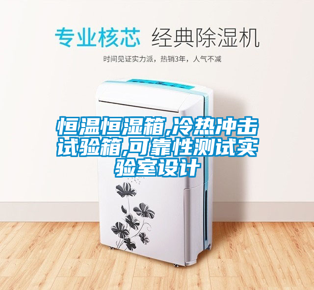 恒溫恒濕箱,冷熱沖擊試驗(yàn)箱,可靠性測試實(shí)驗(yàn)室設(shè)計(jì)