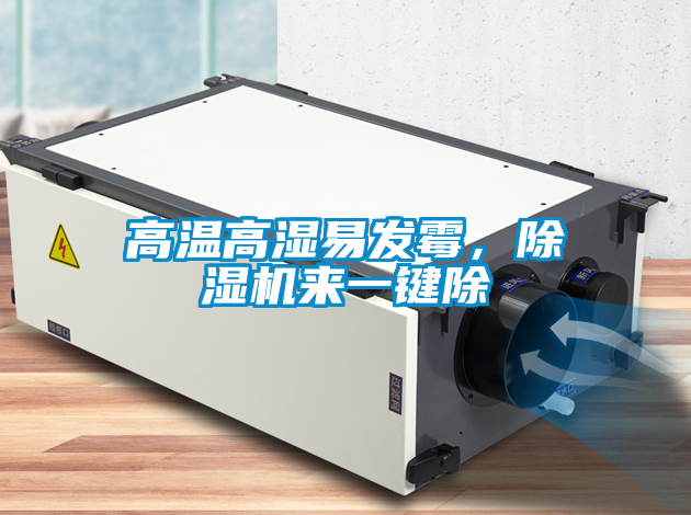 高溫高濕易發(fā)霉，除濕機(jī)來(lái)一鍵除