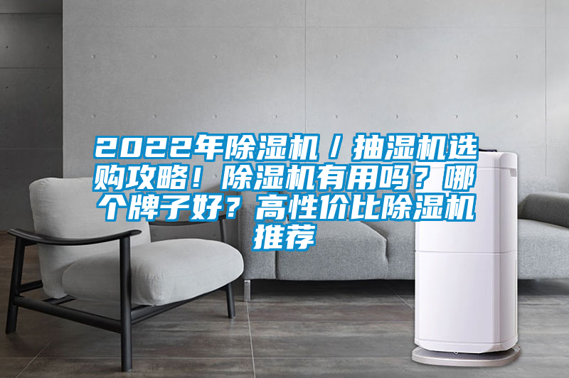2022年除濕機／抽濕機選購攻略！除濕機有用嗎？哪個牌子好？高性價比除濕機推薦