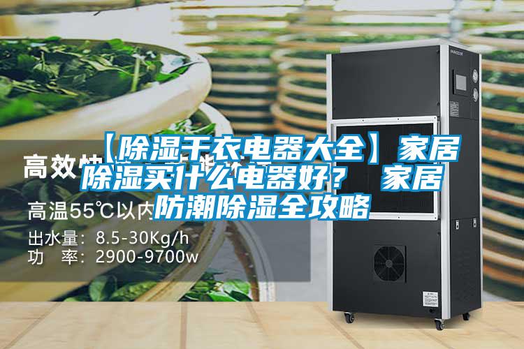 【除濕干衣電器大全】家居除濕買什么電器好？ 家居防潮除濕全攻略