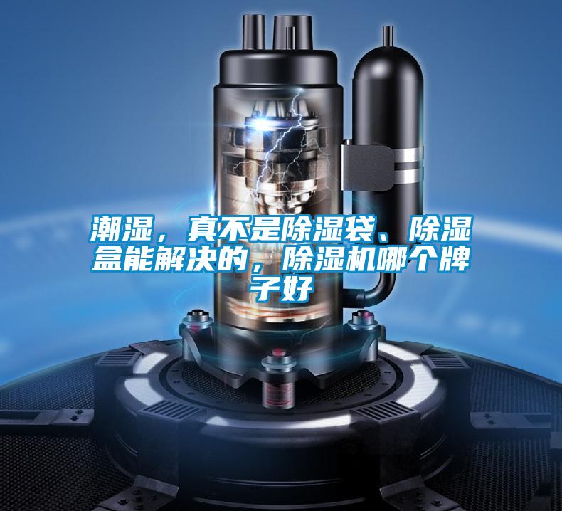 潮濕，真不是除濕袋、除濕盒能解決的，除濕機哪個牌子好