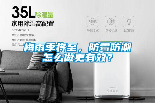 梅雨季將至，防霉防潮怎么做更有效？