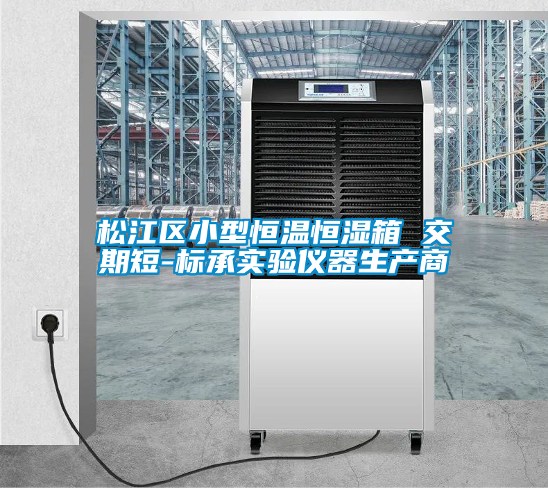 松江區(qū)小型恒溫恒濕箱 交期短-標承實驗儀器生產商