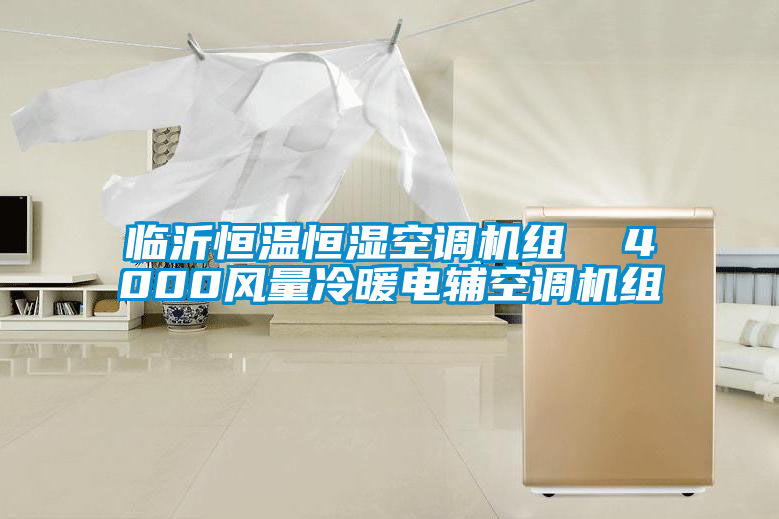 臨沂恒溫恒濕空調(diào)機組  4000風(fēng)量冷暖電輔空調(diào)機組